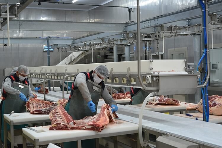 Albitat Et üretim tesisi — modern parçalama ve paketleme hattı